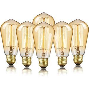 6Pack Edison Bulb,Edison Light Bulbs,Antique Vintage Squirrel Cage Filament Bulb